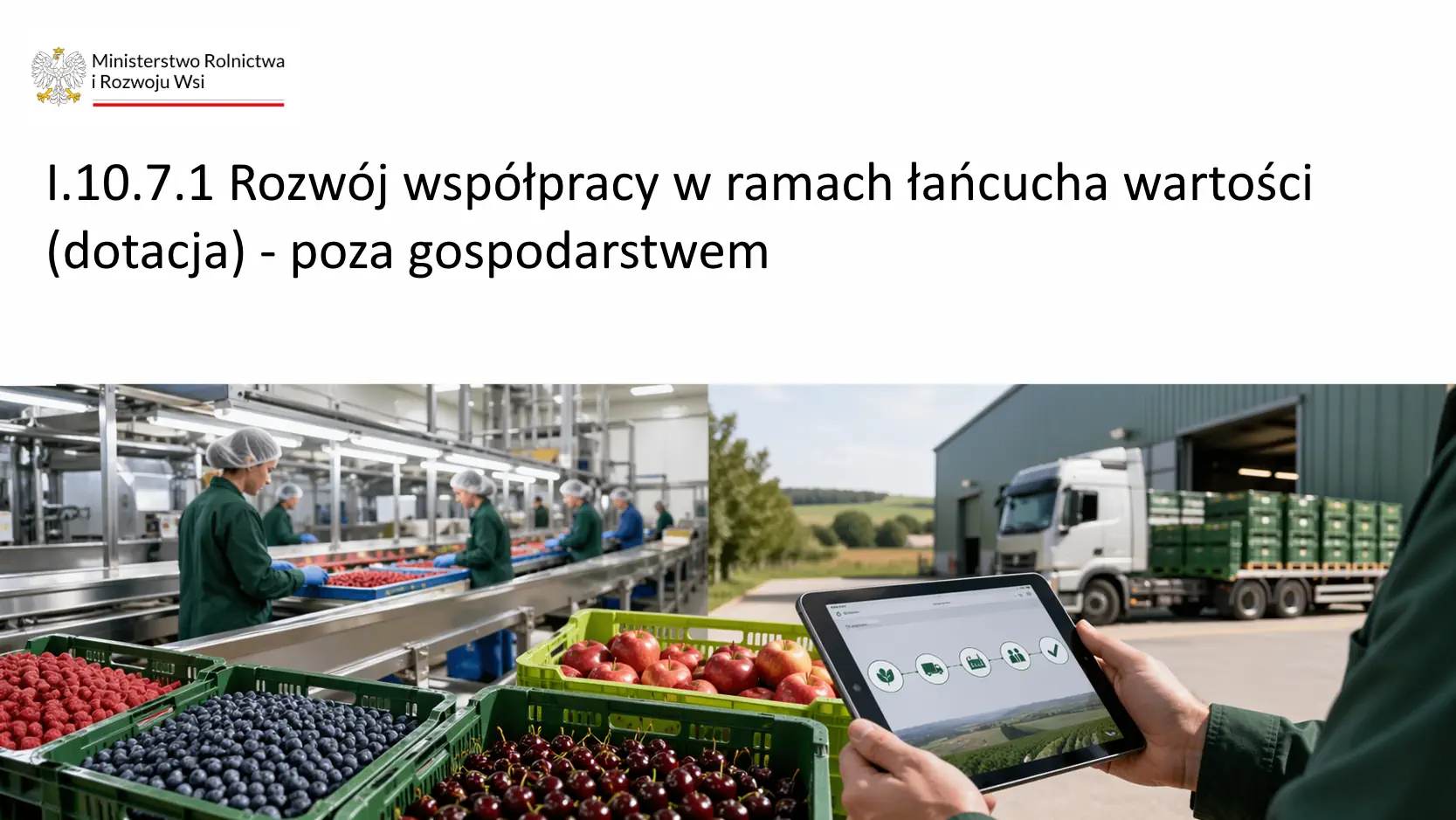 Cyfrowa współpraca grupy producentów, plantatorów i odbiorców w strategii od pola do stołu