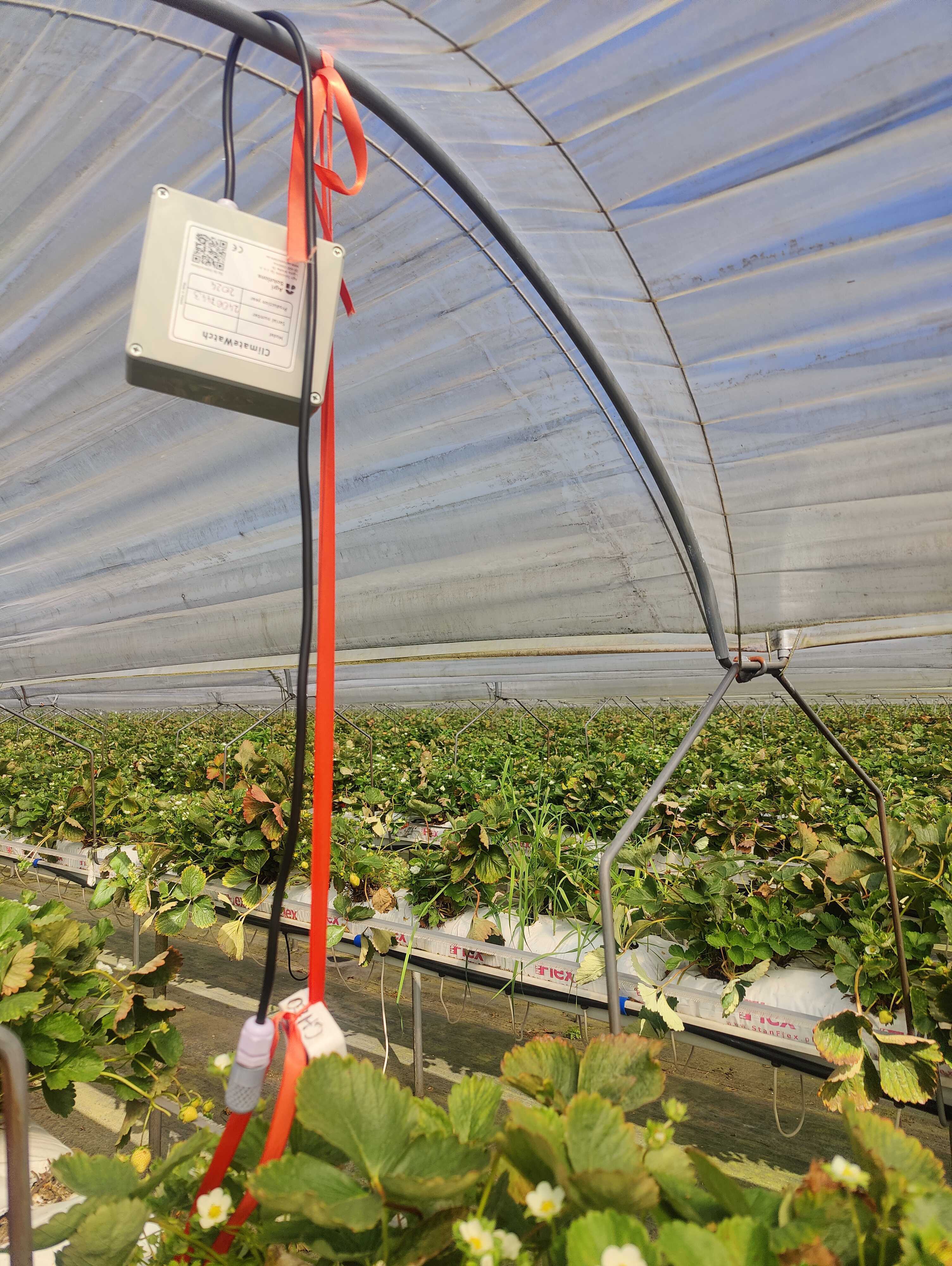 FarmPortal – ClimateWatch w magazynach, przechowalniach i silosach